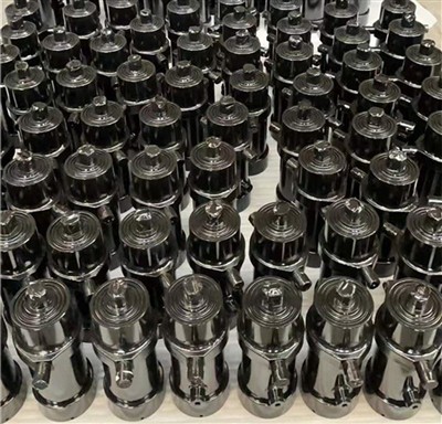 Professor Pei Zhongcai fra Beijing Aeronautics og Astronautics University led...